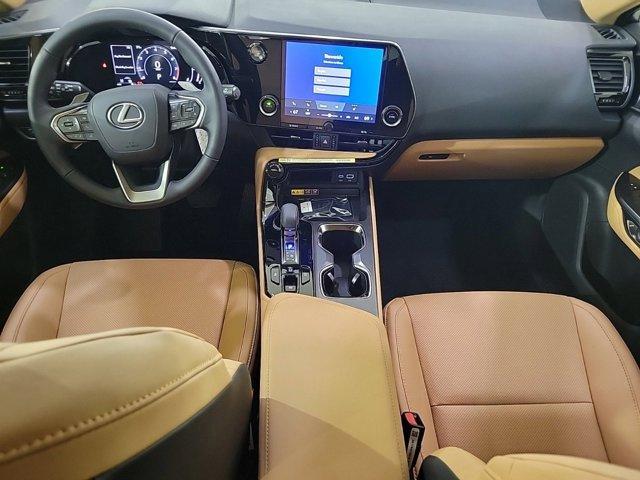 new 2025 Lexus NX 250 car