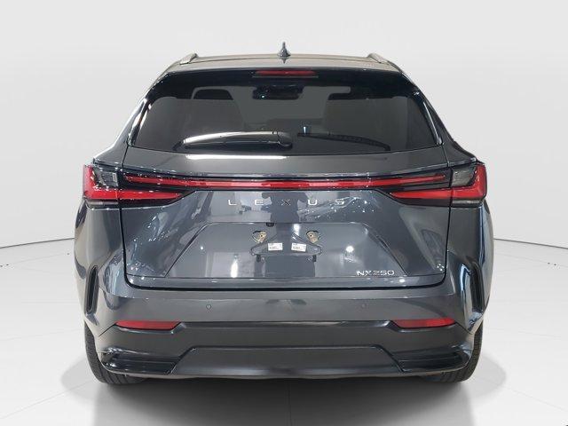 used 2025 Lexus NX 250 car, priced at $43,852