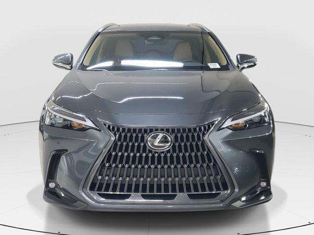new 2025 Lexus NX 250 car, priced at $44,250
