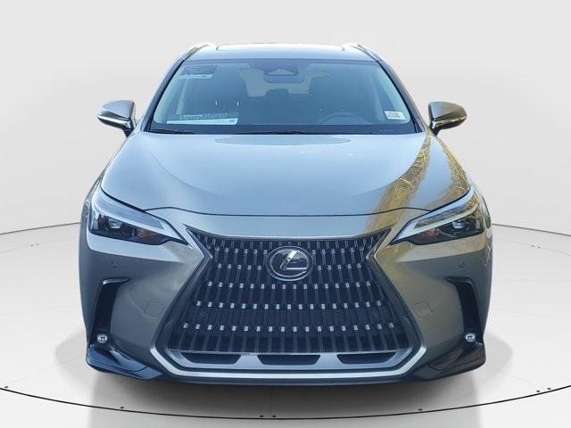 used 2024 Lexus NX 250 car, priced at $36,788