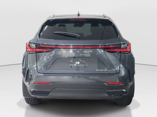 new 2025 Lexus NX 250 car, priced at $42,941