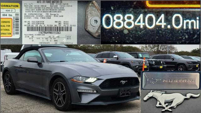 used 2021 Ford Mustang car, priced at $20,000