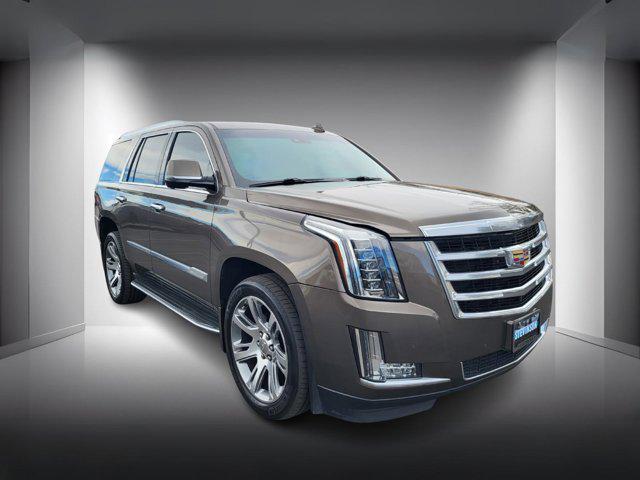 used 2016 Cadillac Escalade car, priced at $26,799