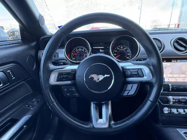 used 2019 Ford Mustang car