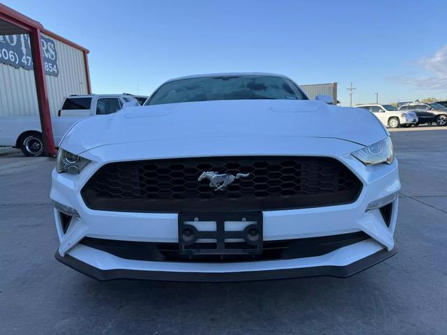 used 2019 Ford Mustang car