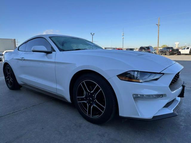 used 2019 Ford Mustang car
