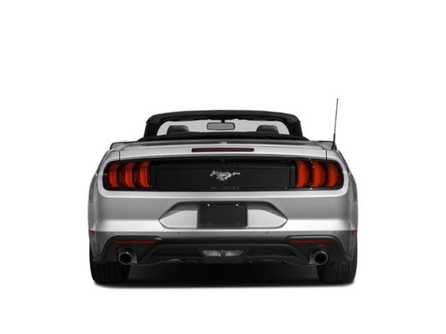 used 2021 Ford Mustang car