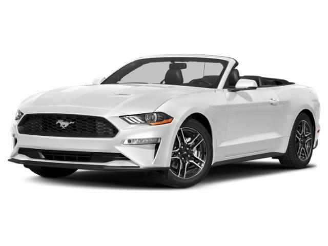 used 2021 Ford Mustang car