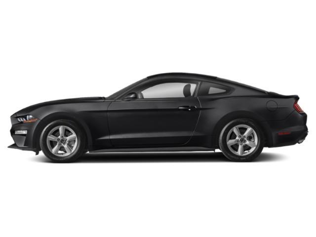 used 2020 Ford Mustang car