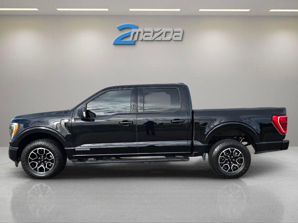 used 2023 Ford F-150 car, priced at $39,613