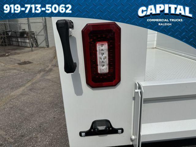 new 2025 Ford F-250 car, priced at $67,209