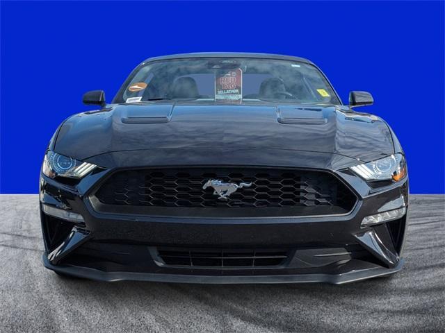 used 2022 Ford Mustang car, priced at $24,224