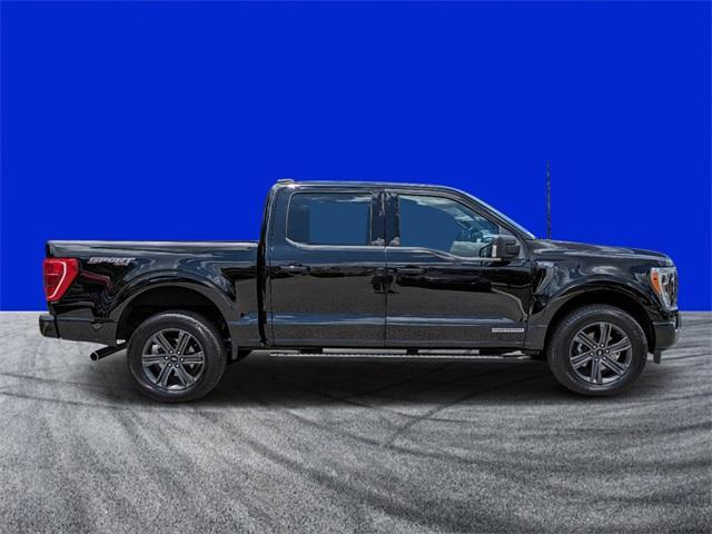 used 2023 Ford F-150 car, priced at $53,979