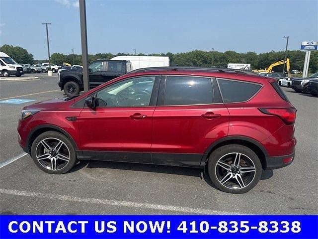 used 2019 Ford Escape car, priced at $17,800