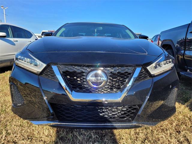 used 2019 Nissan Maxima car