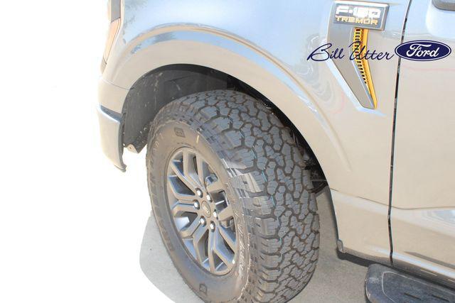 new 2025 Ford F-150 car, priced at $65,572