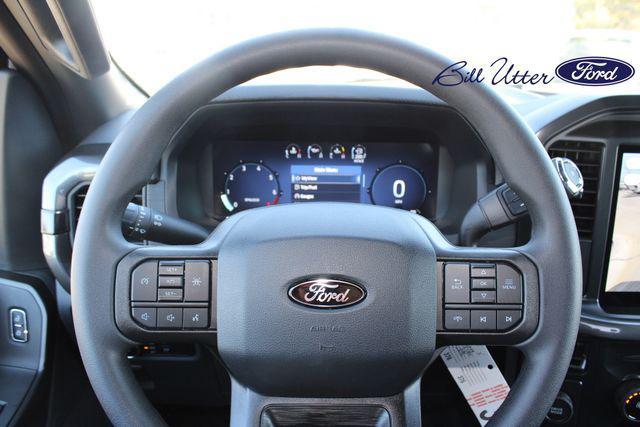 new 2025 Ford F-150 car, priced at $45,208