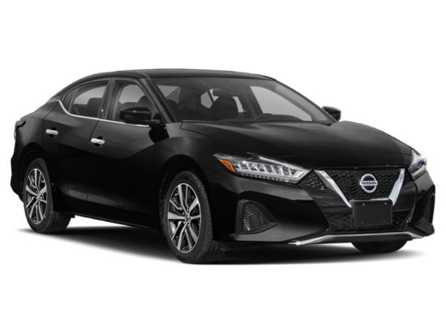 used 2019 Nissan Maxima car, priced at $15,751