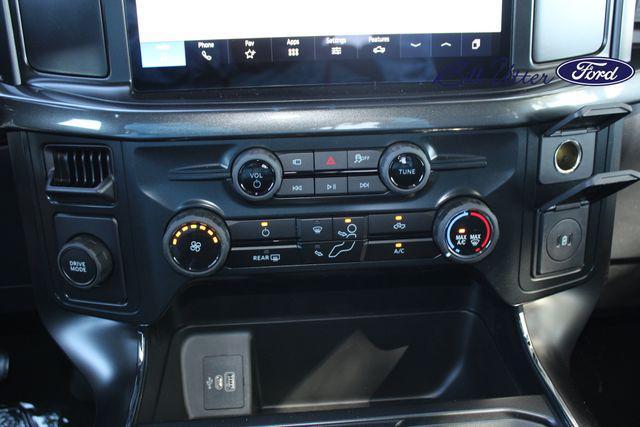 new 2025 Ford F-150 car, priced at $48,480