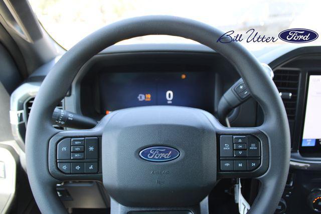 new 2025 Ford F-150 car, priced at $48,842