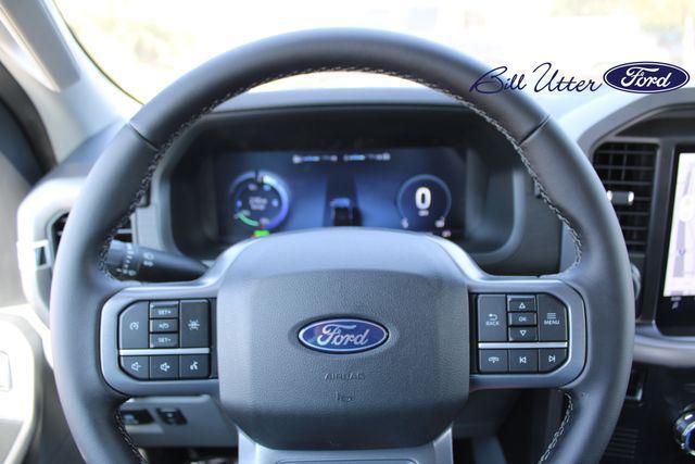 new 2025 Ford F-150 Lightning car, priced at $66,315