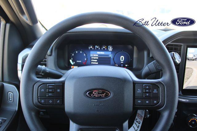 new 2025 Ford F-150 car, priced at $45,208
