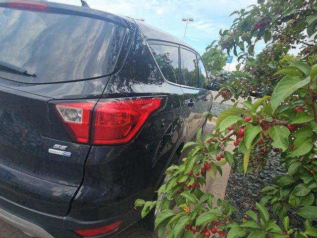 used 2019 Ford Escape car, priced at $12,995
