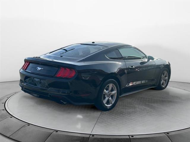 used 2019 Ford Mustang car, priced at $16,999