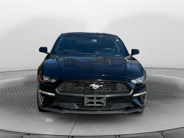 used 2019 Ford Mustang car, priced at $16,999