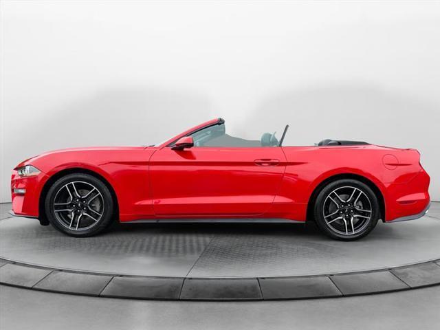 used 2019 Ford Mustang car, priced at $15,999