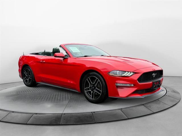 used 2019 Ford Mustang car, priced at $15,999