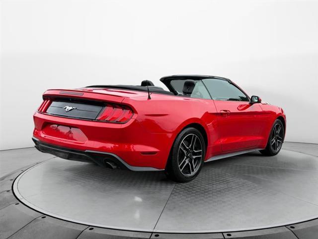 used 2019 Ford Mustang car, priced at $15,999