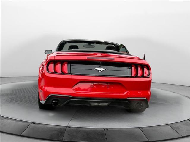 used 2019 Ford Mustang car, priced at $15,999