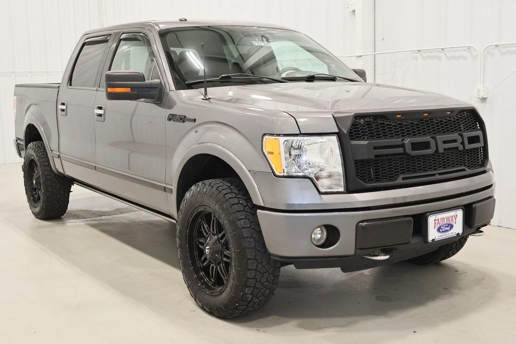 used 2010 Ford F-150 car, priced at $14,000