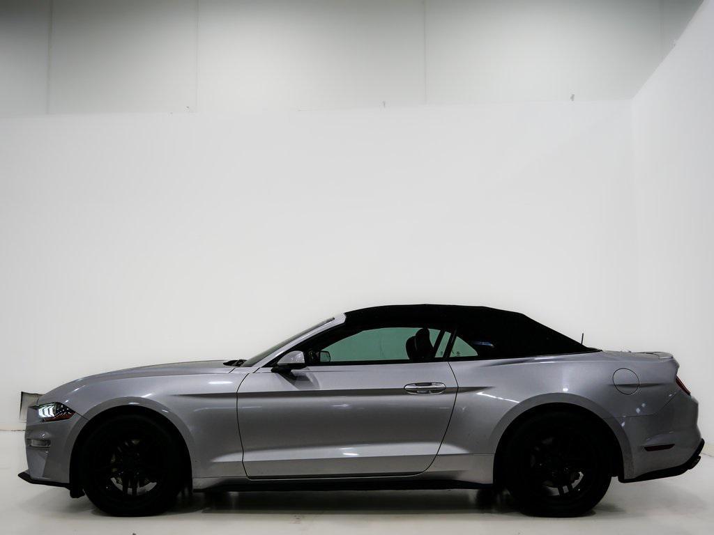 used 2019 Ford Mustang car, priced at $20,000