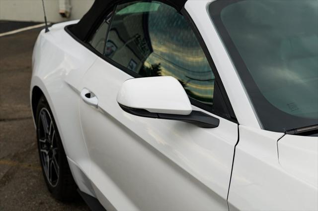 used 2022 Ford Mustang car, priced at $21,900