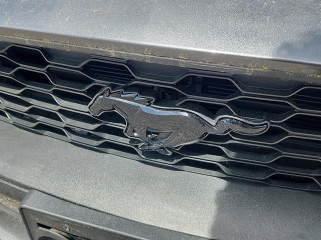 used 2019 Ford Mustang car, priced at $32,497