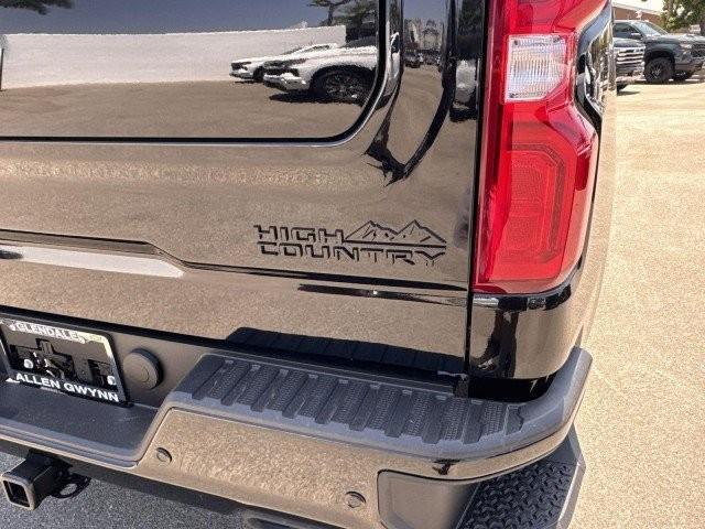 new 2025 Chevrolet Silverado 1500 car, priced at $73,499