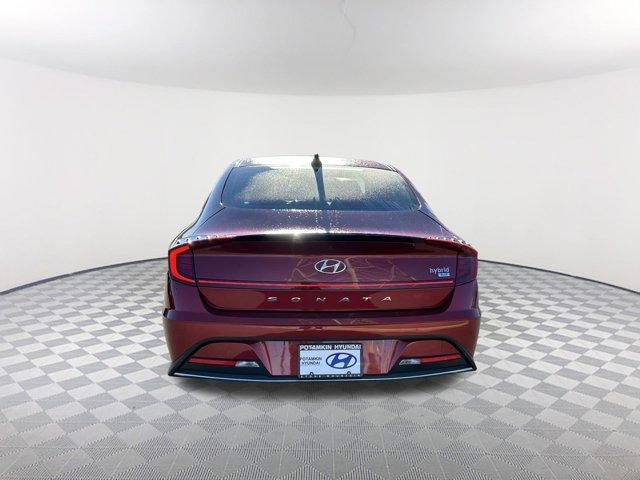 used 2023 Hyundai Sonata Hybrid car, priced at $20,690