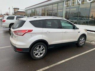 used 2014 Ford Escape car, priced at $9,990