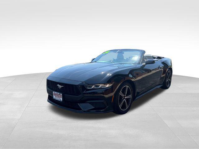 used 2024 Ford Mustang car, priced at $33,600
