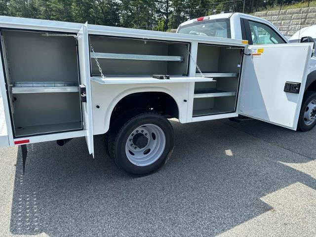 new 2024 Ford F-450 car, priced at $70,985