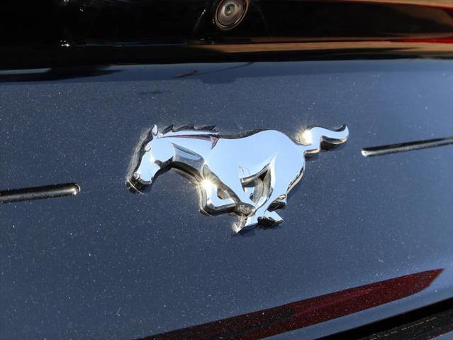 used 2019 Ford Mustang car, priced at $17,998