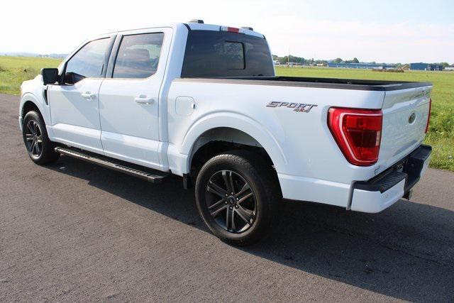 used 2023 Ford F-150 car, priced at $35,989