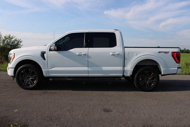 used 2023 Ford F-150 car, priced at $35,989