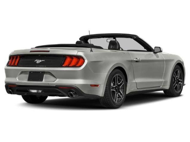 used 2020 Ford Mustang car