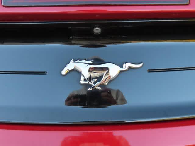 used 2019 Ford Mustang car, priced at $17,198