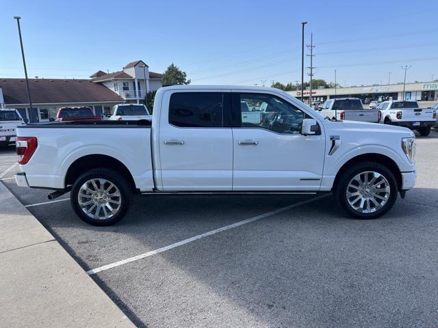 used 2023 Ford F-150 car, priced at $54,800