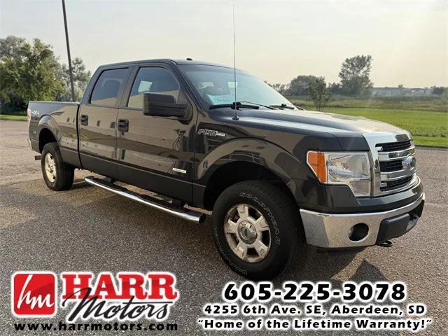 used 2014 Ford F-150 car