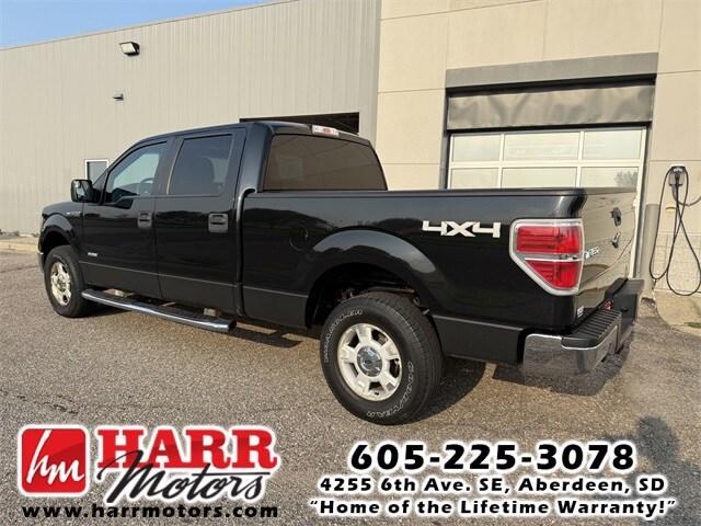 used 2014 Ford F-150 car
